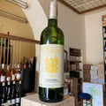 Tenuta di Trinoro 'Bianco di Trinoro' Toscana IGT 2023 Tenuta Trinoro