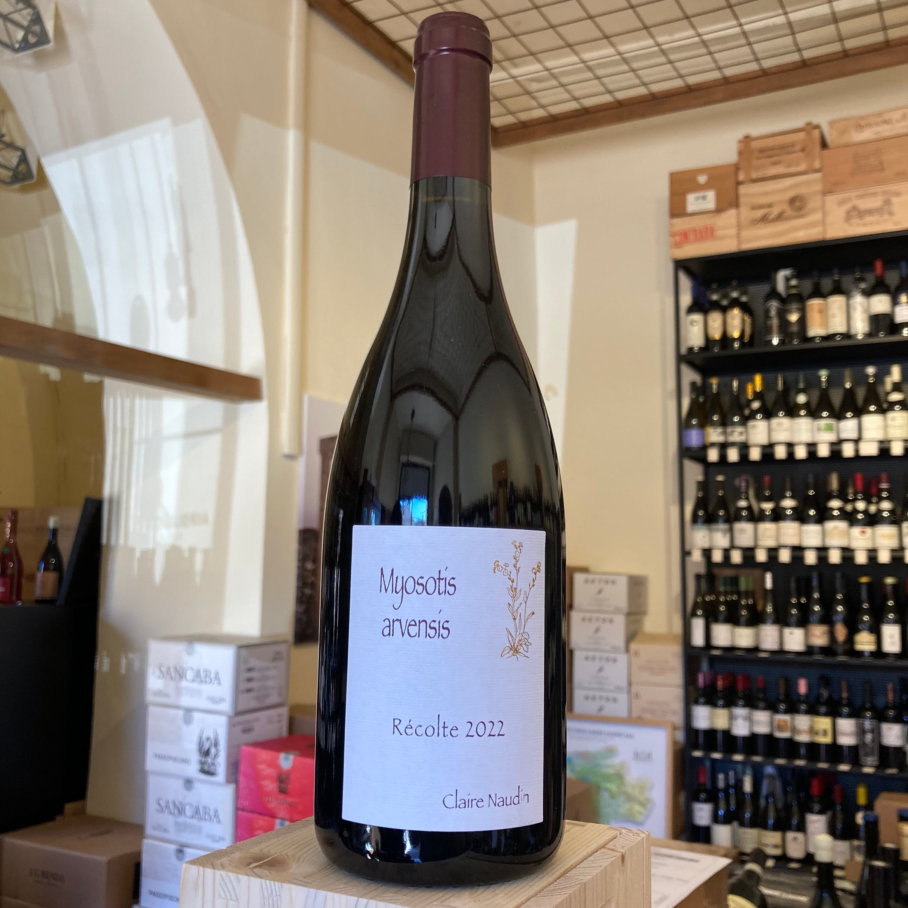 Bourgogne Hautes Cotes de Nuits Myosotis Arvenis 2022 Claire Naudin