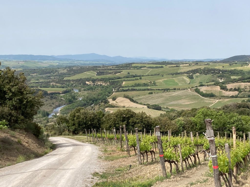 Stella di Campalto Brunello di Montalcino 2010/2012/2016/2018/2019 Stella di Campalto