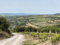 Stella di Campalto Brunello di Montalcino 2010/2012/2016/2018/2019 Stella di Campalto