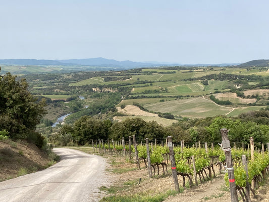 Stella di Campalto (Podere San Giuseppe) Brunello di Montalcino