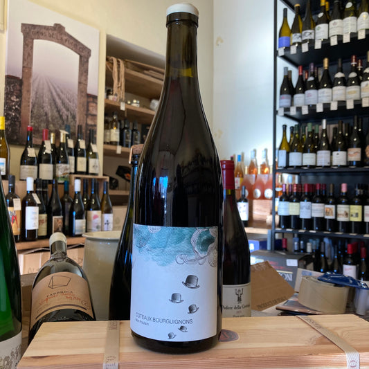 Les Horees Coteaux Bourguignons Mon Poulain 2022