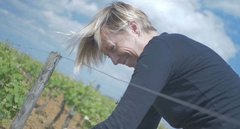 Caroline Morey: L'eleganza contemporanea di Chassagne-Montrachet